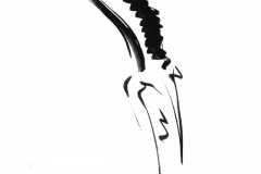 Trompeter