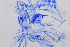 Katze, 2023, 30 cm x 24 cm, Tiefdruck, Papier/1/15, 75,- €