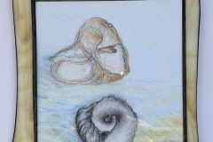 Muscheln, 2020, Zeichnung, Papier, Tiffanyglas, 18 cm x 18 cm, 58,- €