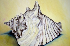 Große Muschel, 2006, 47cm x 57cm, Ölfarbe, Leinwand, 990,- €
